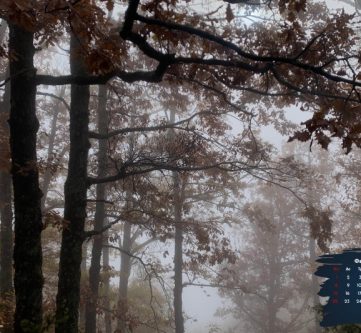 ΠΡΟΓΡΑΜΜΑ ΦΕΒΡΟΥΑΡΙΟΥ